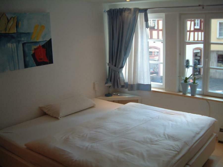 Appartement Kirschgarten ماينتس المظهر الخارجي الصورة
